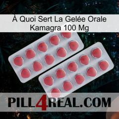 À Quoi Sert La Gelée Orale Kamagra 100 Mg 19